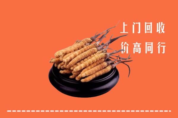 高价求购：扬州高邮市回收散虫草