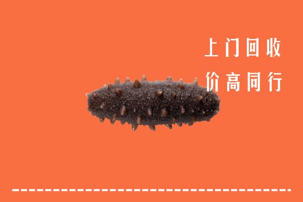 高价求购：扬州高邮市回收海参