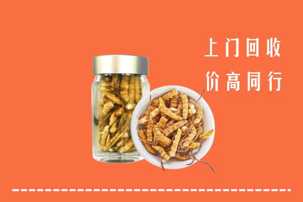 扬州高邮市回收冬虫夏草
